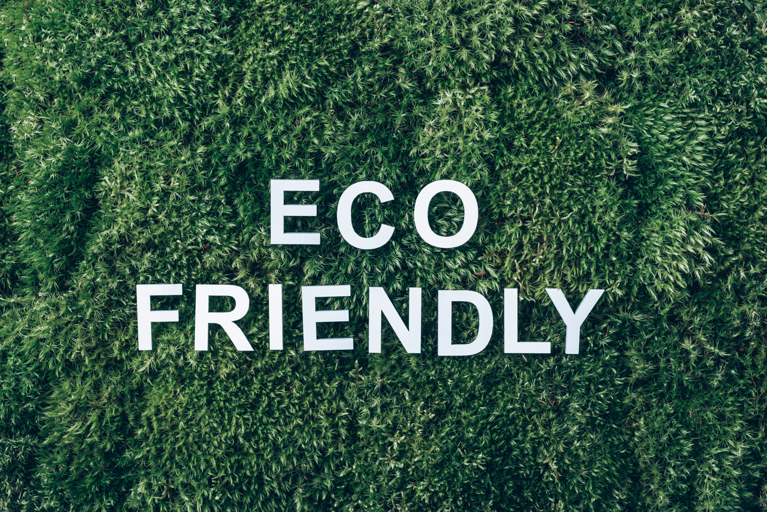 Inscription Eco friendly on moss, green grass background. Top view. Copy space. Banner. Biophilia concept. Nature backdrop.